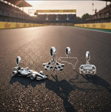 Charms de plata Carreras