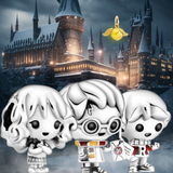 Charms de plata Harry Potter