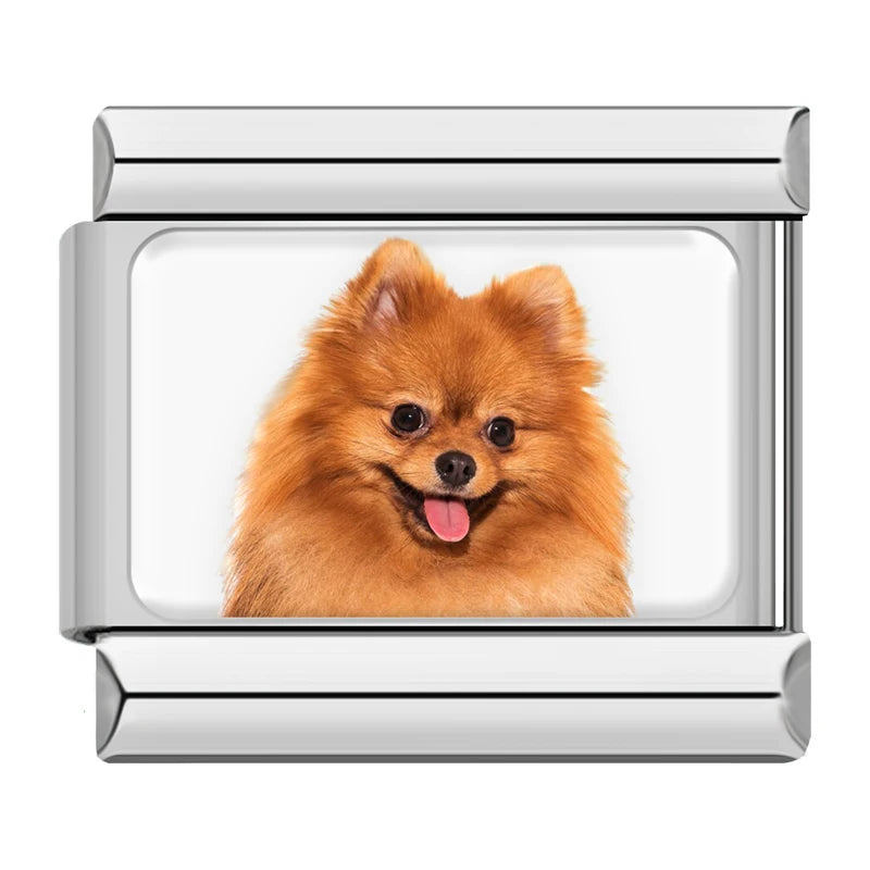 Italian Charms Perritos