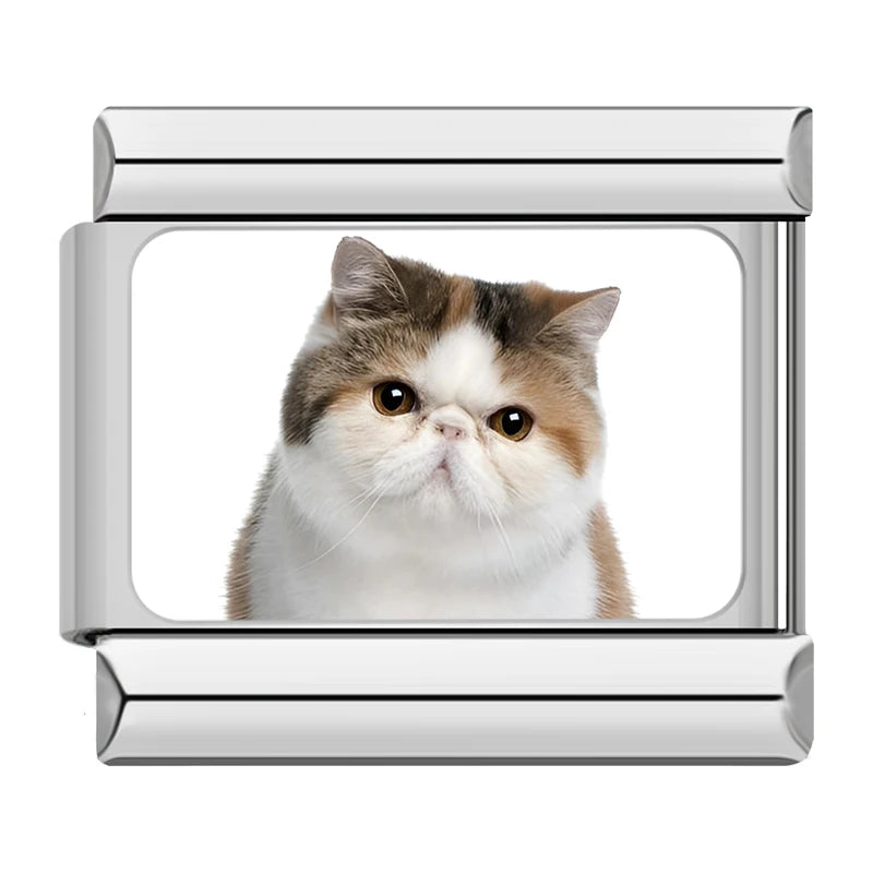 Italian Charms Gatitos