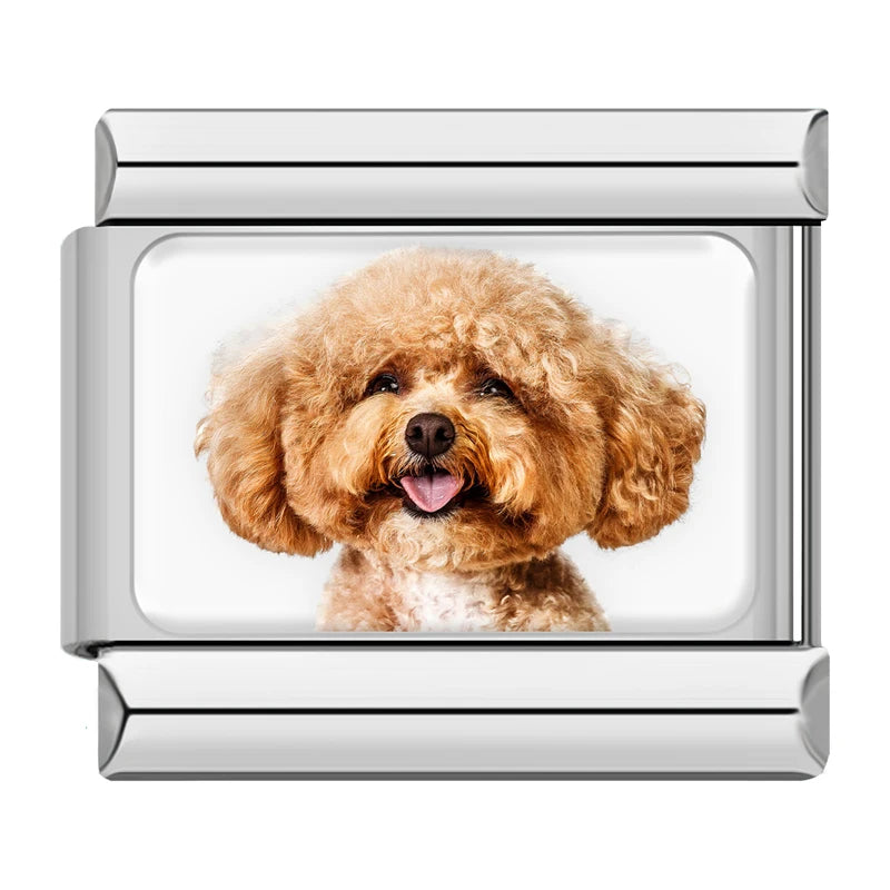 Italian Charms Perritos