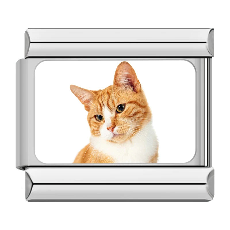 Italian Charms Gatitos