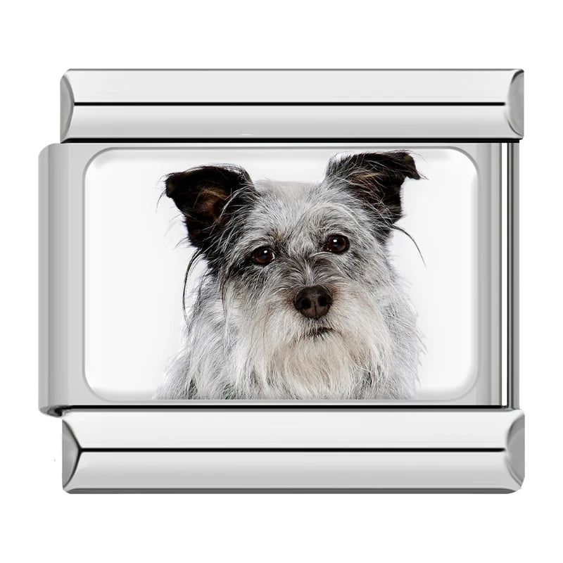 Italian Charms Perritos