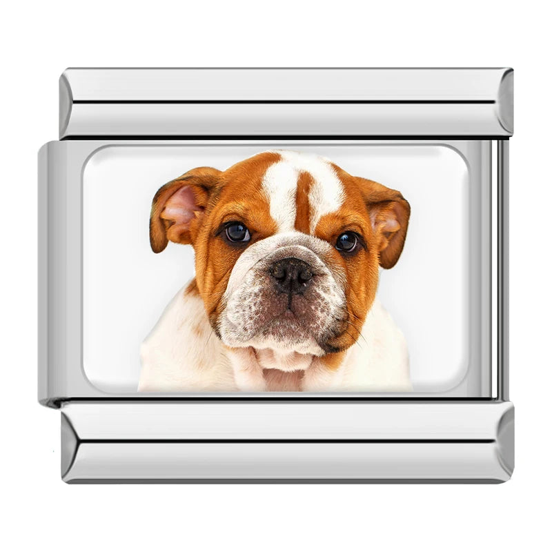 Italian Charms Perritos
