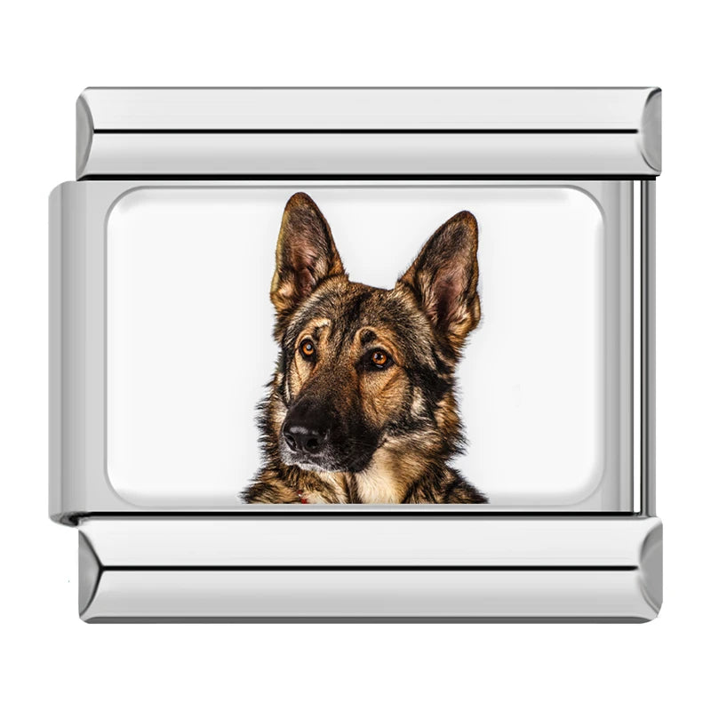 Italian Charms Perritos