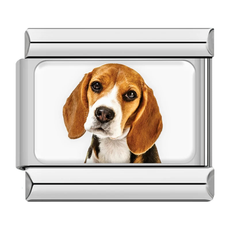 Italian Charms Perritos