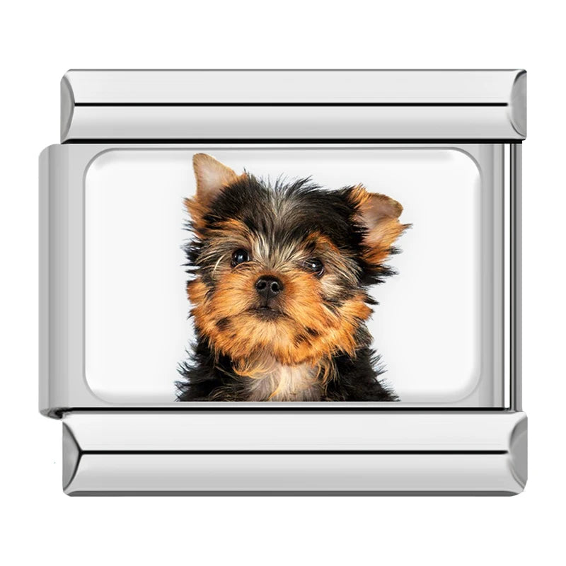 Italian Charms Perritos