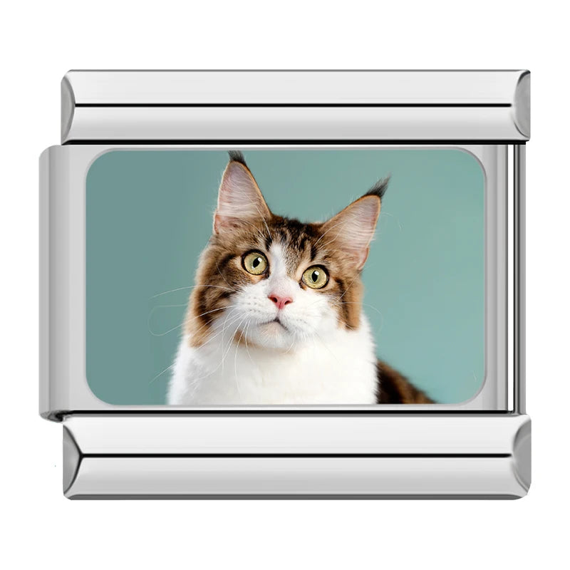 Italian Charms Gatitos
