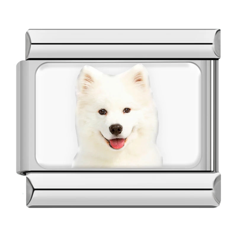 Italian Charms Perritos