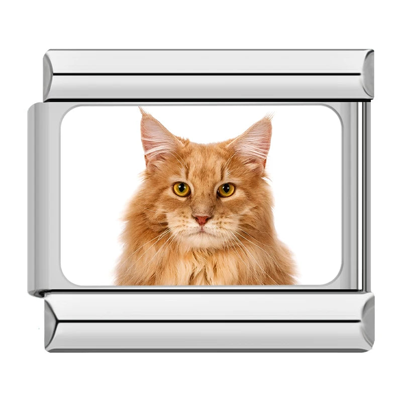 Italian Charms Gatitos