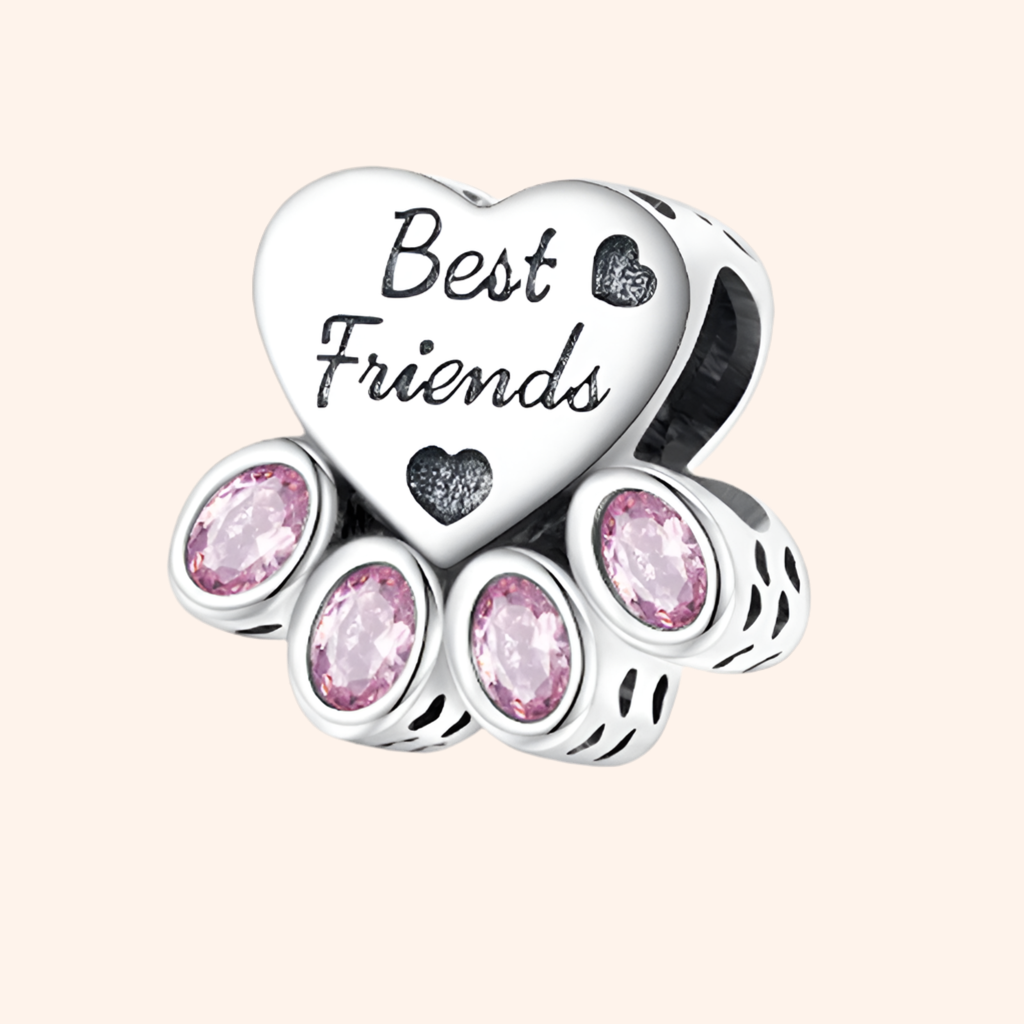 Charm Best Friend Plata S925 - Charmsymore
