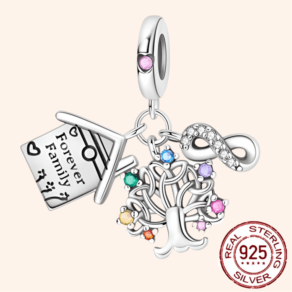 Charm Familia S925 - Charmsymore