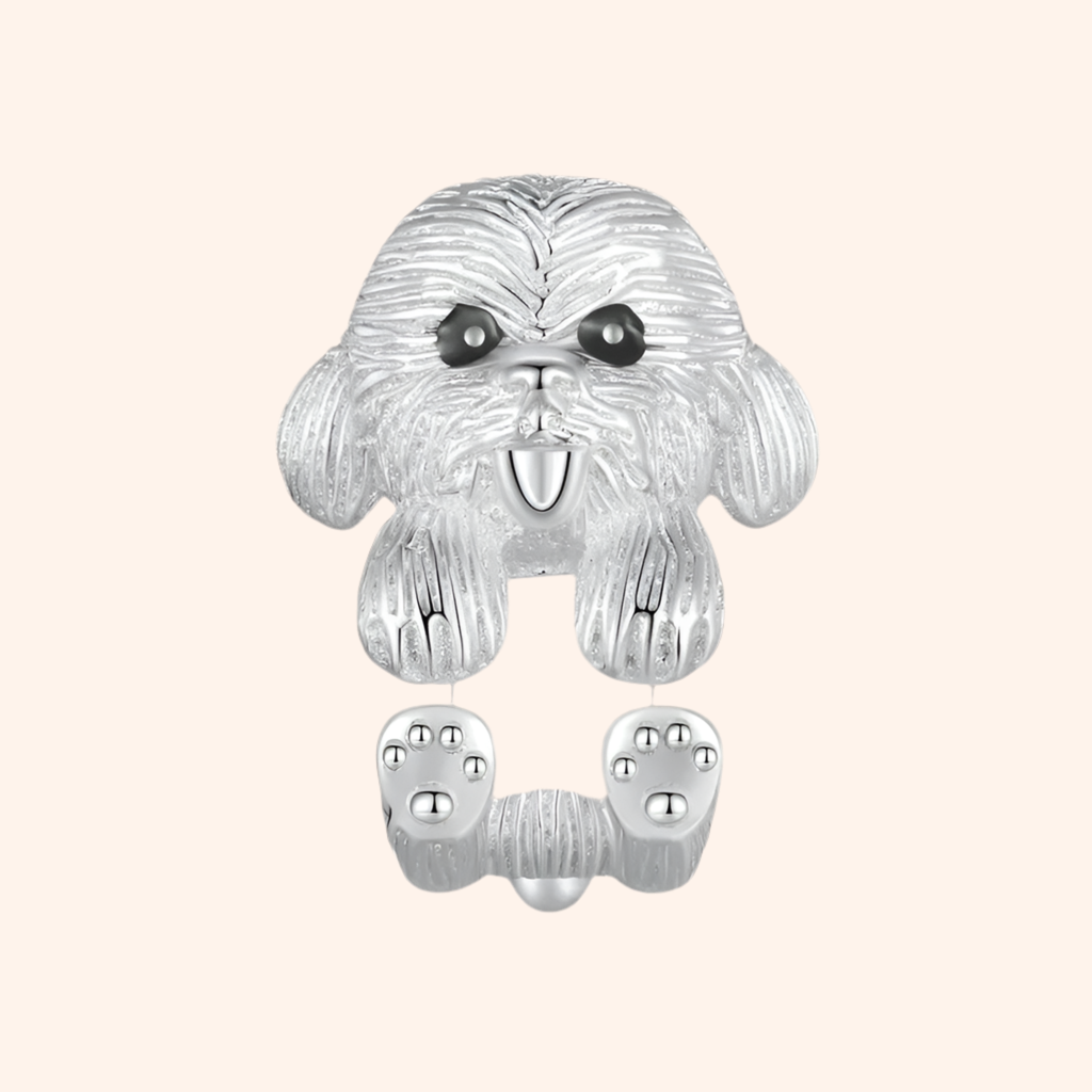 Charms Plata 925 - Charmsymore