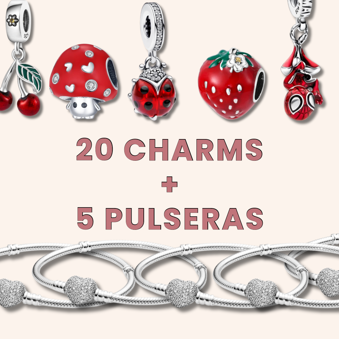 Paquete Charms Plata S925 + Pulseras Plata - Charmsymore
