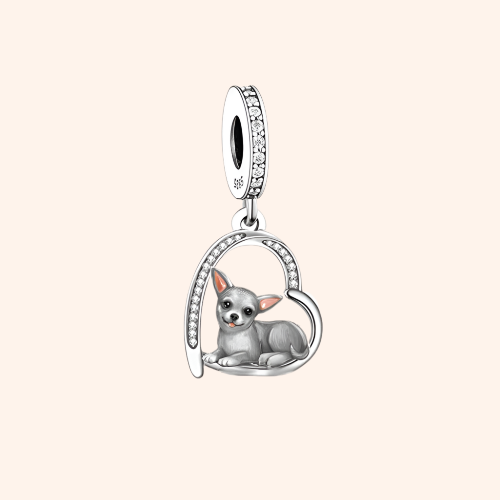 Charm Perrito Chihuahua Plata S925