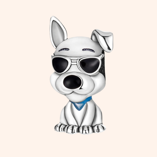 Charm Perro Con Lentes S925 - Charmsymore