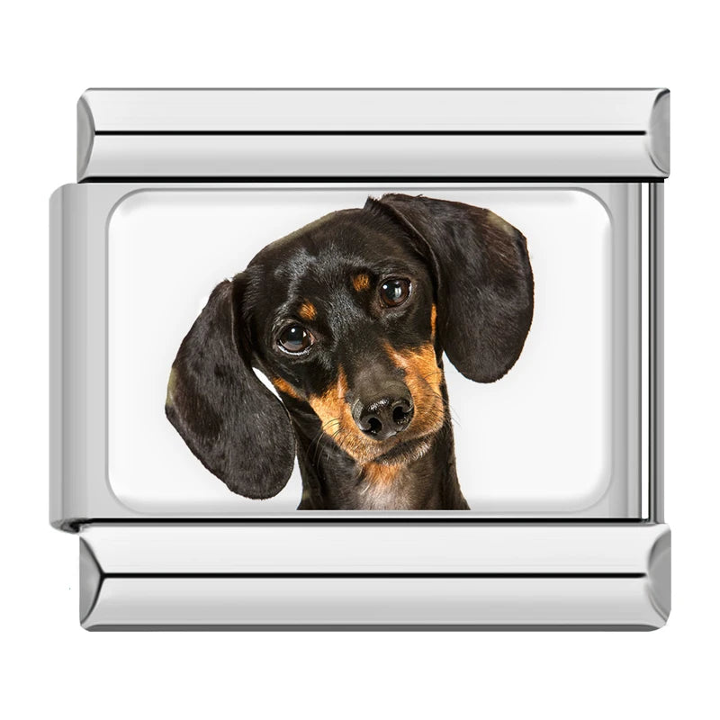 Italian Charms Perritos