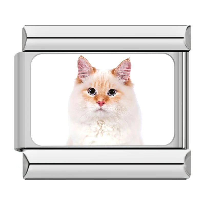 Italian Charms Gatitos