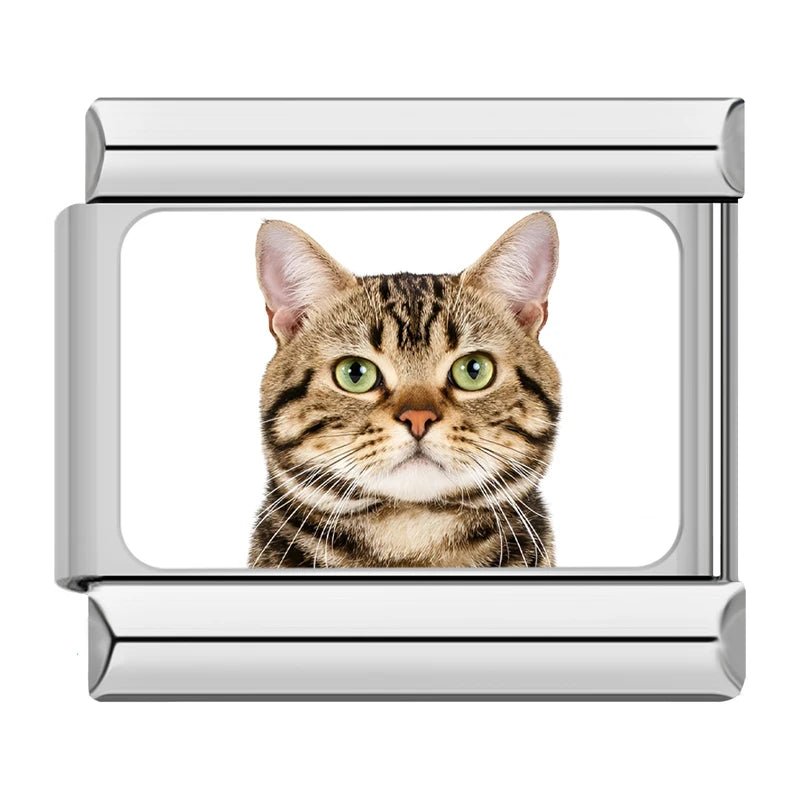 Italian Charms Gatitos