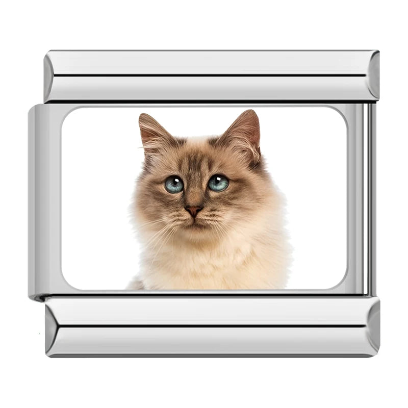 Italian Charms Gatitos