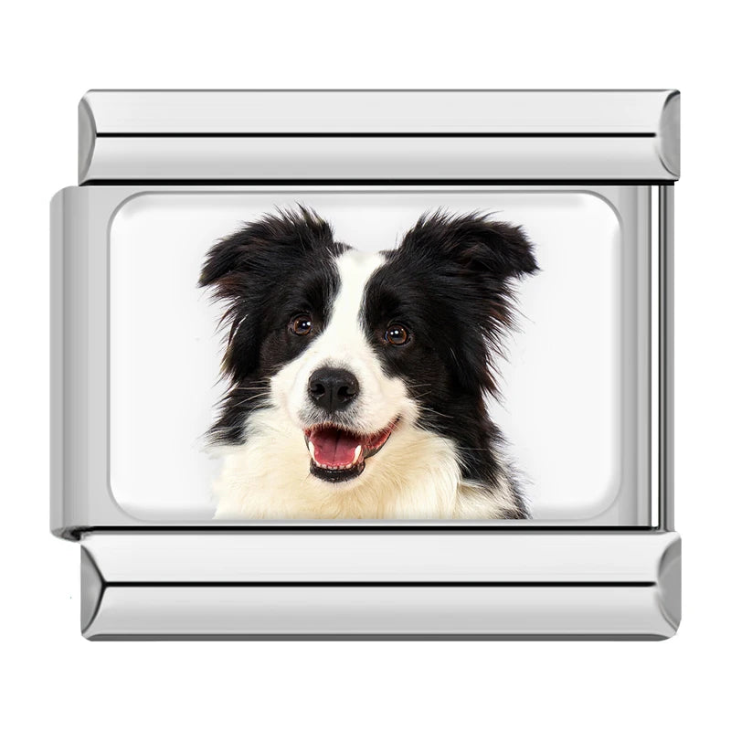 Italian Charms Perritos