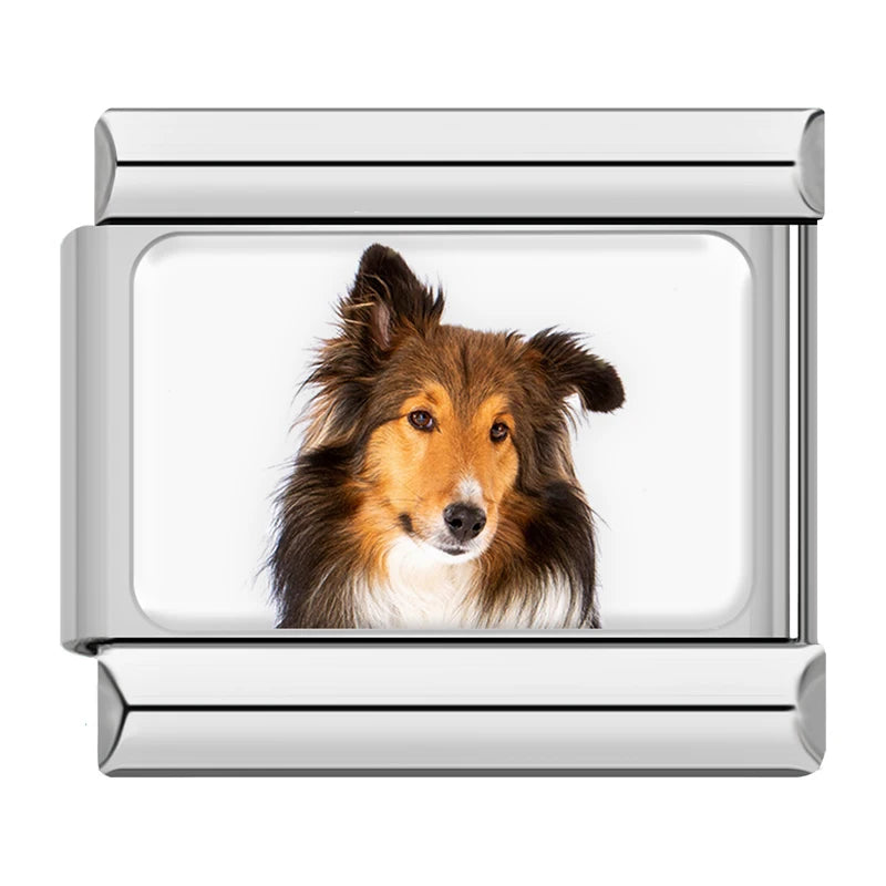 Italian Charms Perritos