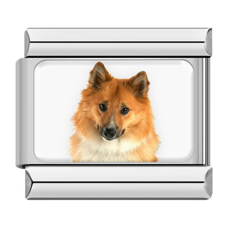 Italian Charms Perritos