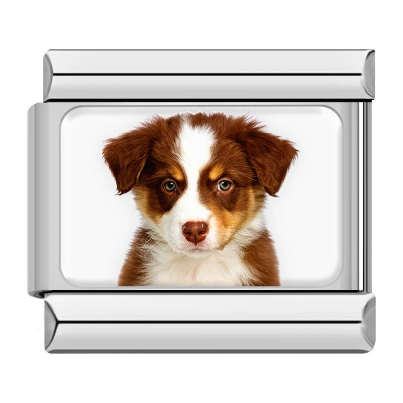 Italian Charms Perritos