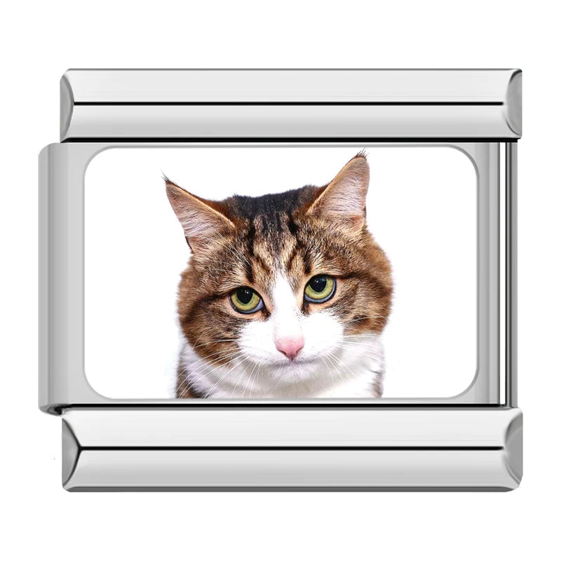 Italian Charms Gatitos