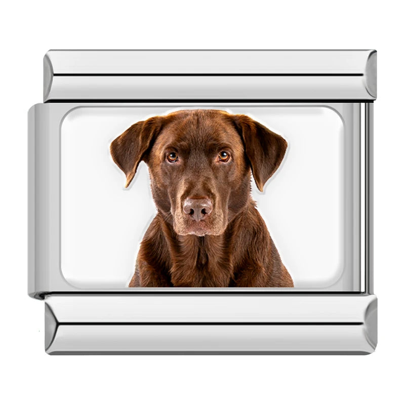 Italian Charms Perritos