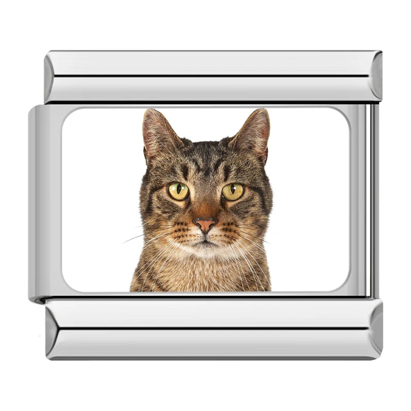 Italian Charms Gatitos