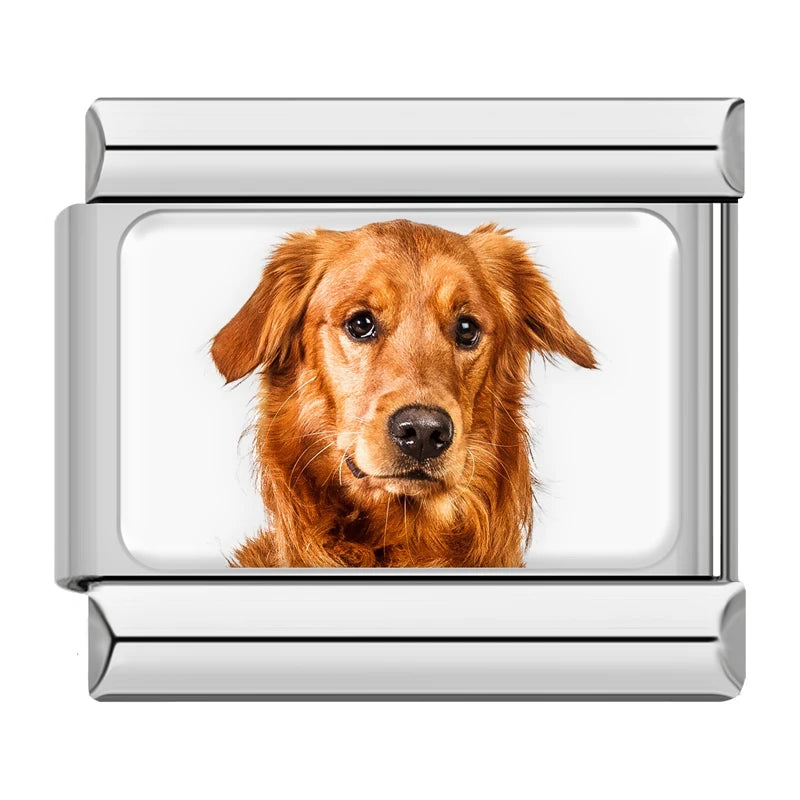 Italian Charms Perritos