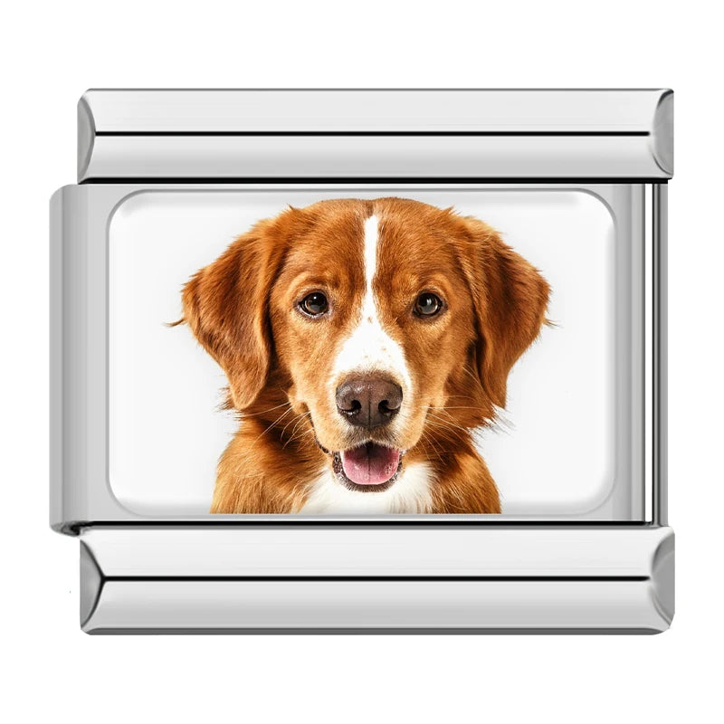 Italian Charms Perritos