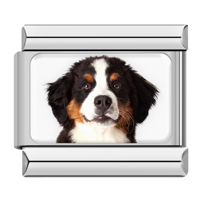 Italian Charms Perritos