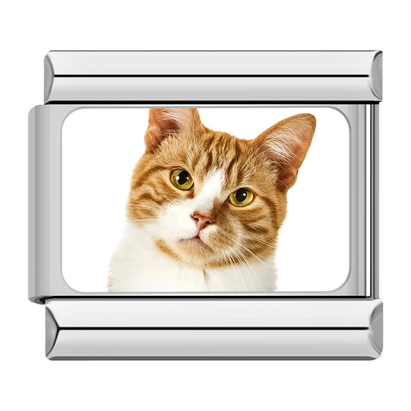 Italian Charms Gatitos