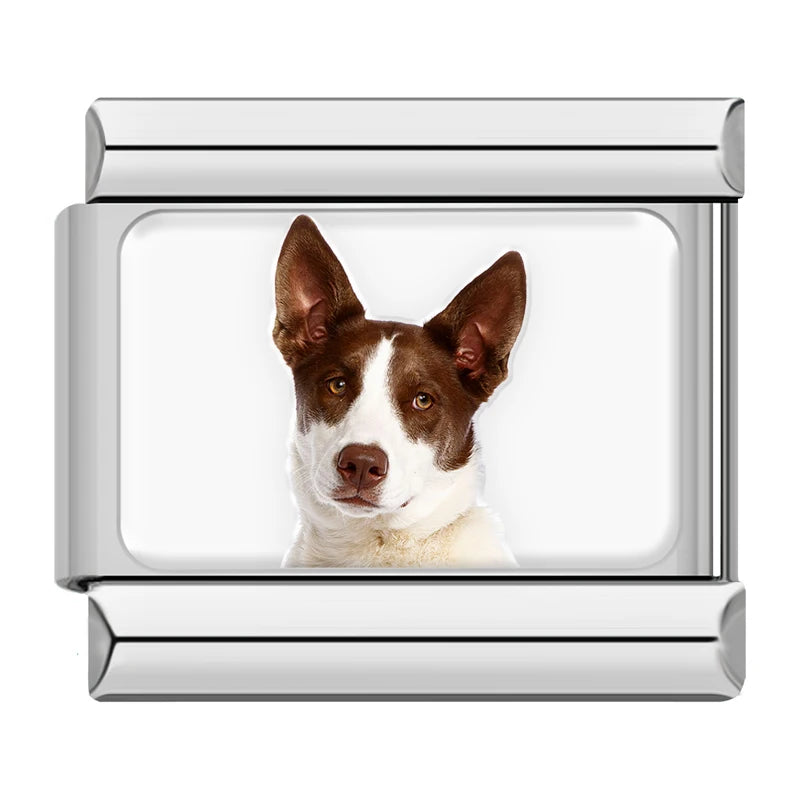 Italian Charms Perritos