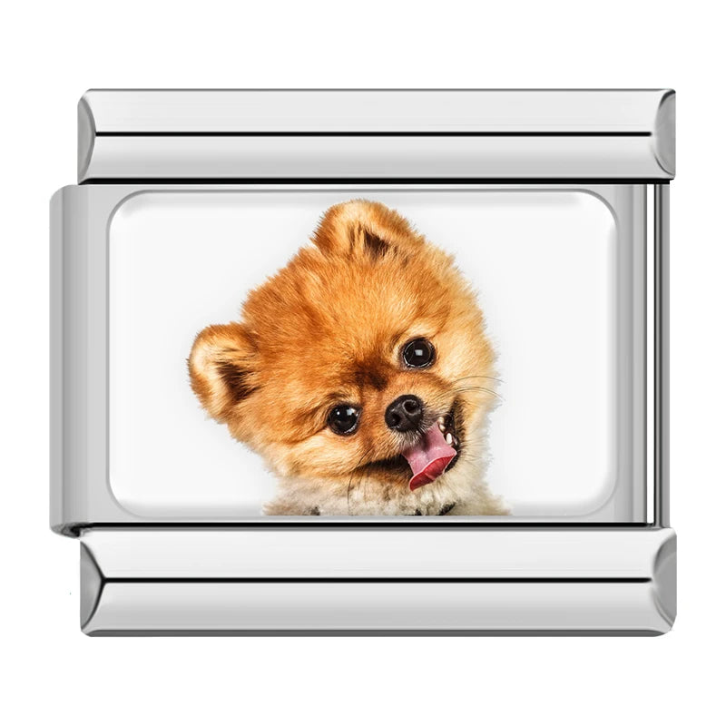 Italian Charms Perritos