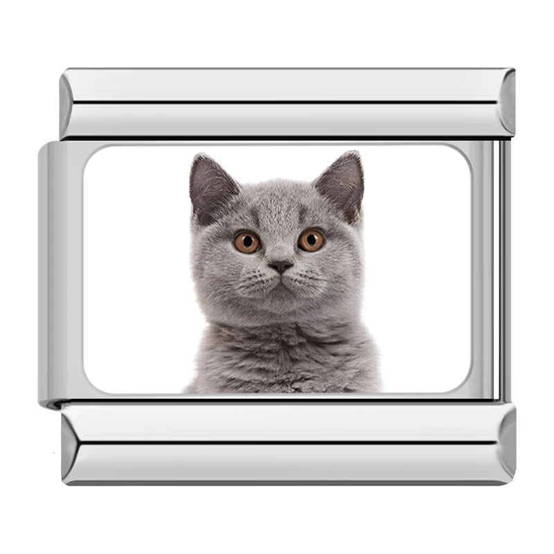 Italian Charms Gatitos