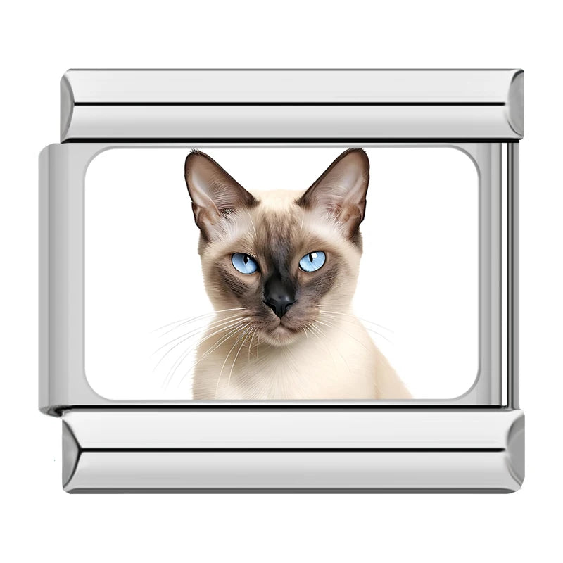 Italian Charms Gatitos