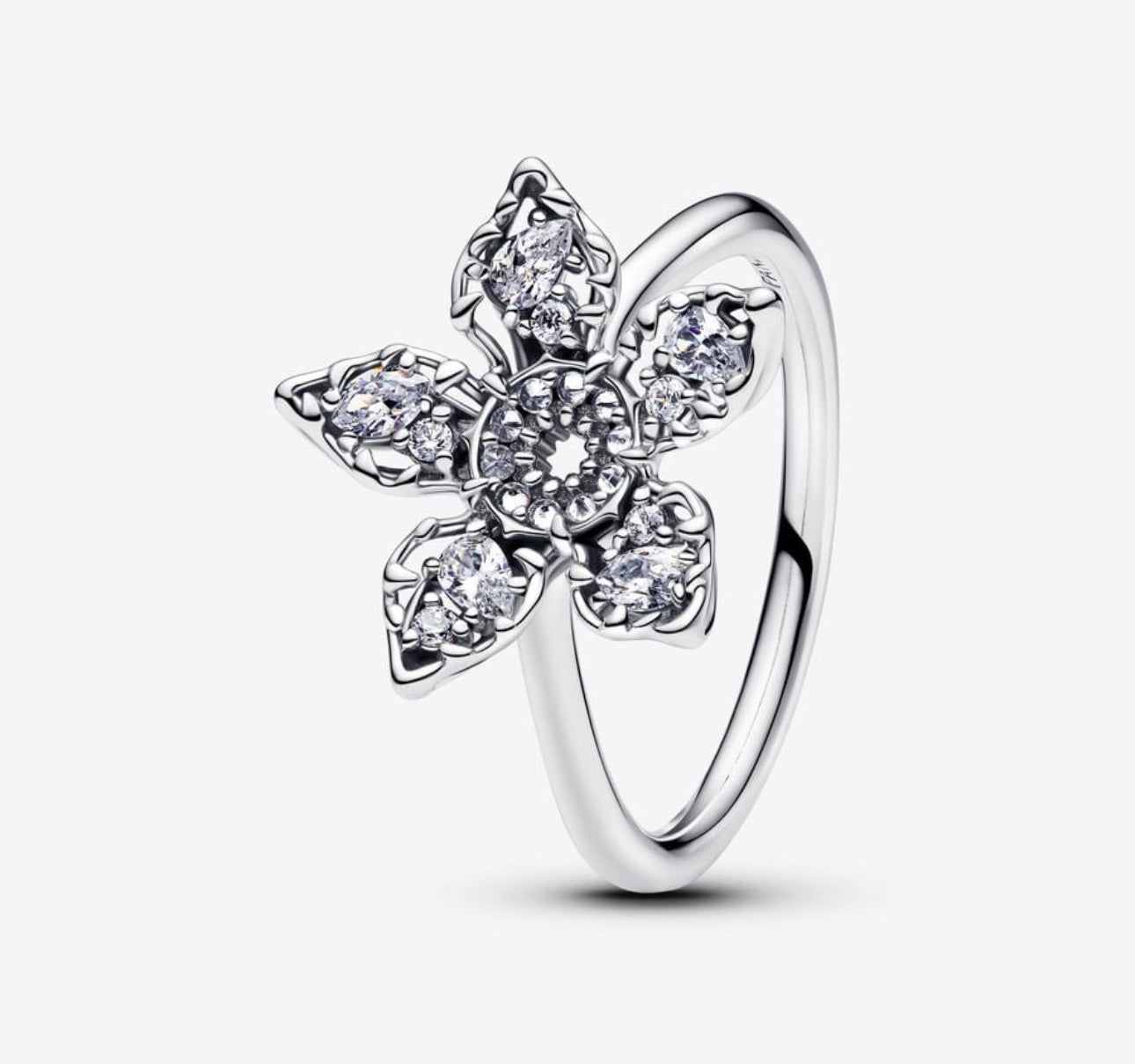 Anillo Demogorgon - Charmsymore