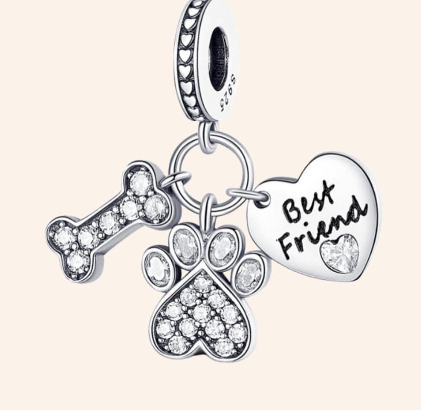 Charm Best Friend Plata S925 para pulsera de charms