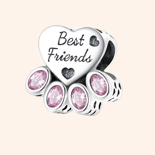 Charm Best Friend Plata S925 - Charmsymore
