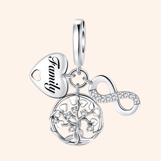 Charm Familia Plata S925 ENTREGA INMEDIATA - Charmsymore