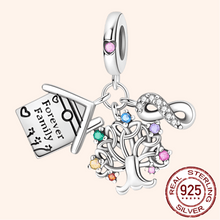 Charm Familia Colgantes Plata S925