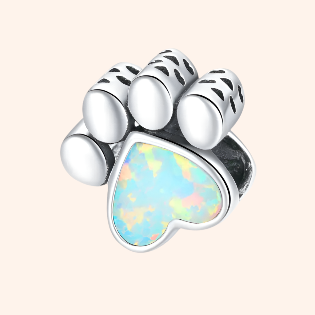 Charm Huellita Mágica Plata S925 - Charmsymore