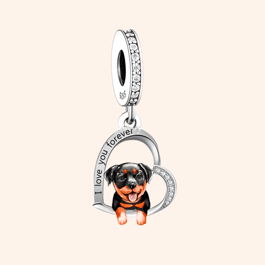 Charm Perrito Rottweiler Plata S925 - Charmsymore