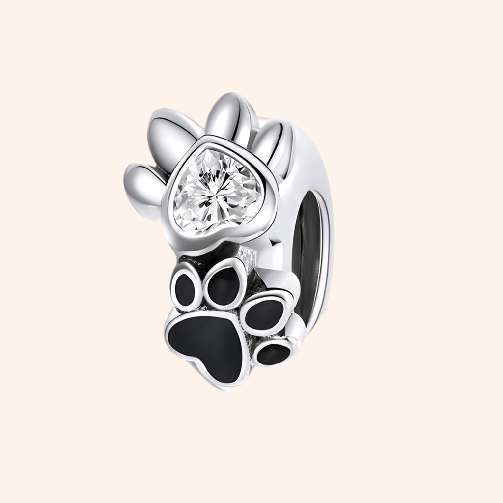 Charm Plata S925 - Charmsymore