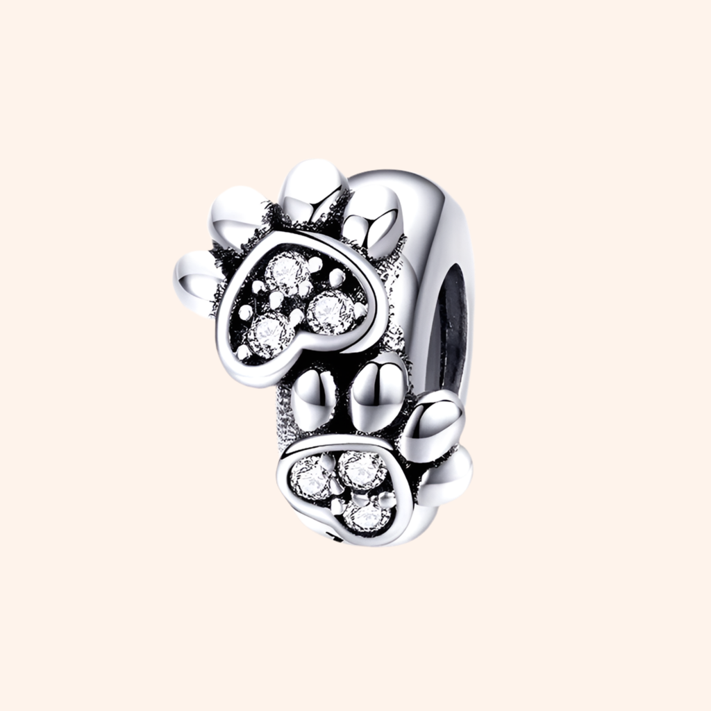 Charm Plata S925 - Charmsymore