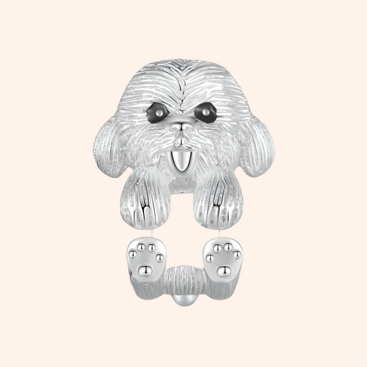 Charms Plata 925 - Charmsymore