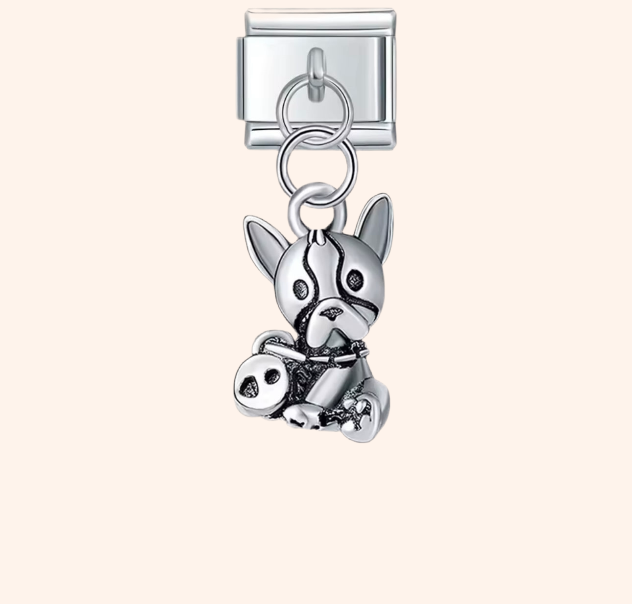 Italian Charm bulldog 𝗘𝗡𝗧𝗥𝗘𝗚𝗔 𝗜𝗡𝗠𝗘𝗗𝗜𝗔𝗧𝗔 - Charmsymore